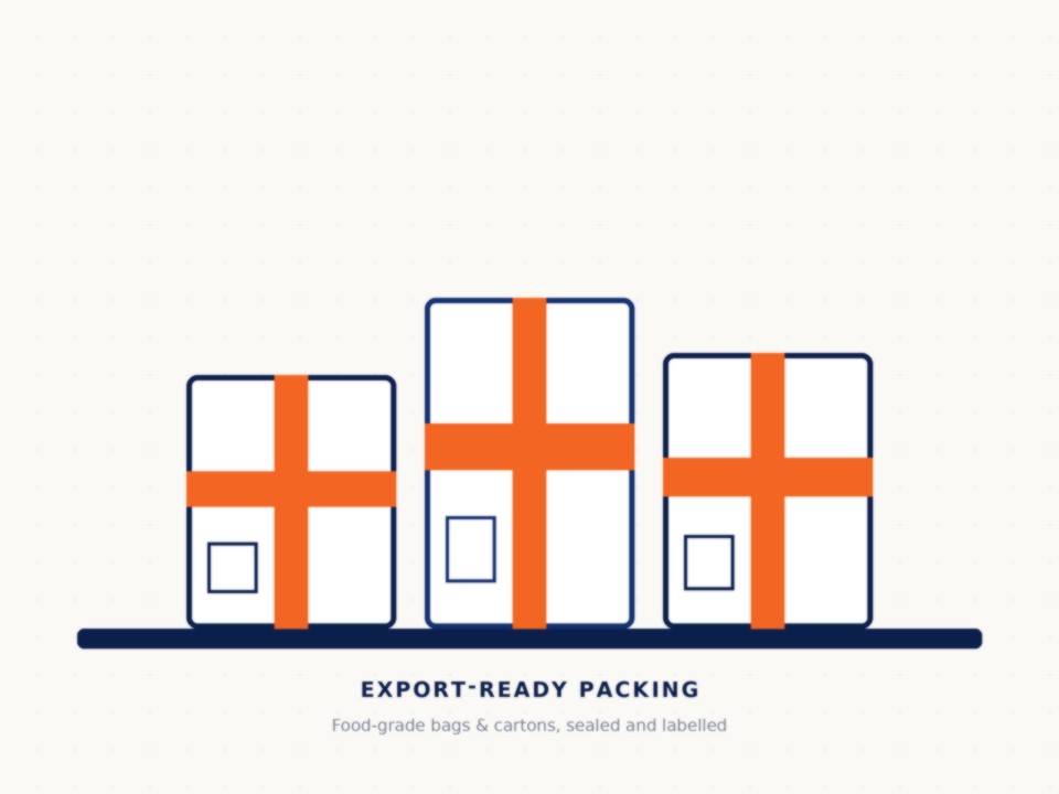 Export cartons and food-grade bags stacked and ready for loading