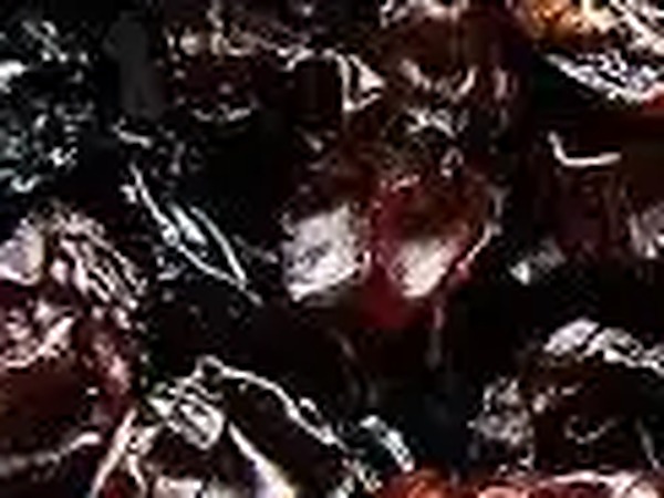 Close-up of dark brown raisins